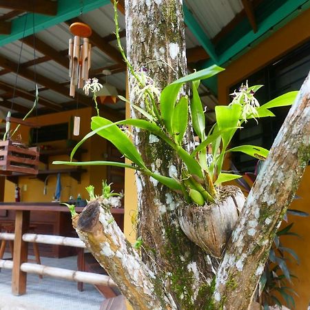 Riverhill Hideaway Monkey Fall Luaran gambar