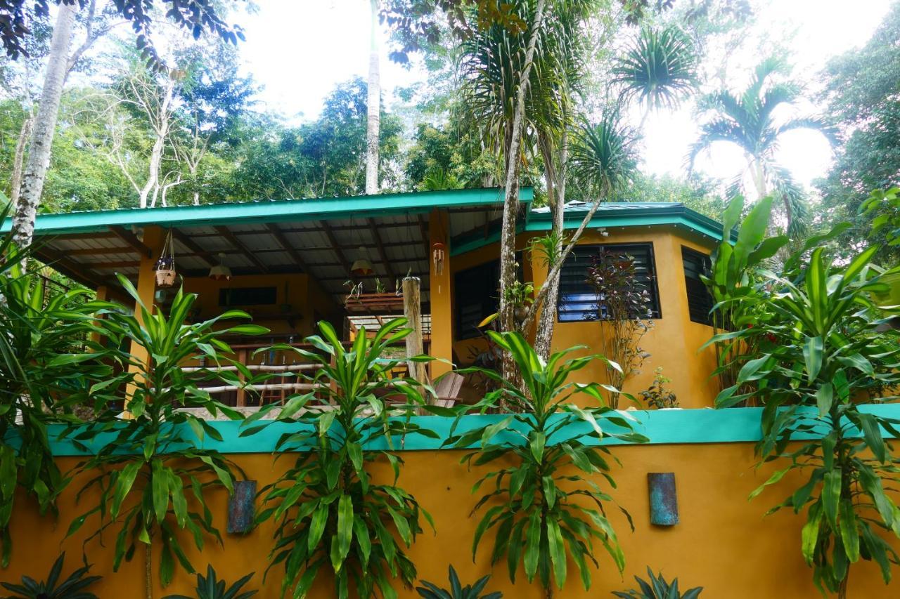 Riverhill Hideaway Monkey Fall Luaran gambar