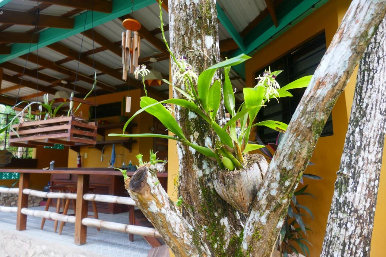 Riverhill Hideaway Monkey Fall Luaran gambar