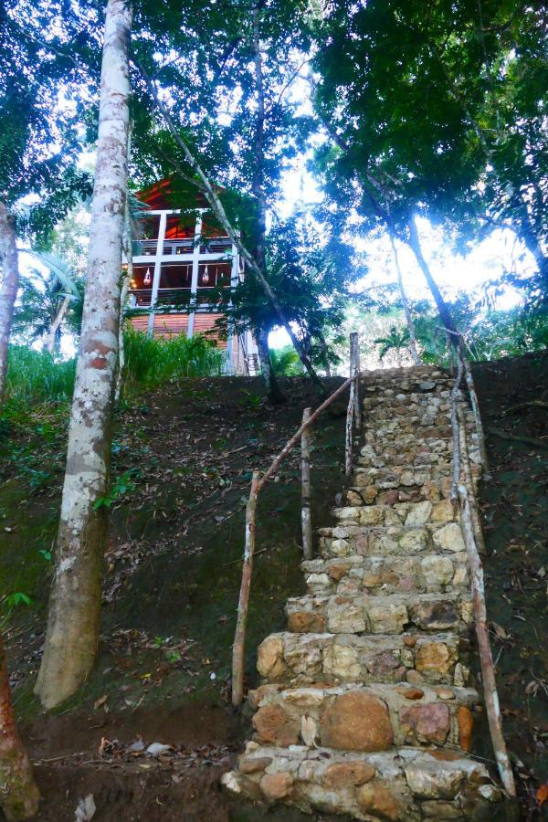 Riverhill Hideaway Monkey Fall Luaran gambar