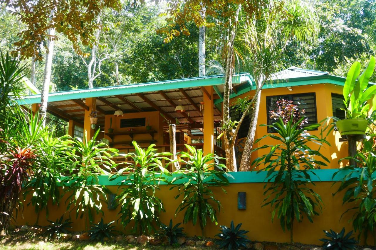 Riverhill Hideaway Monkey Fall Luaran gambar