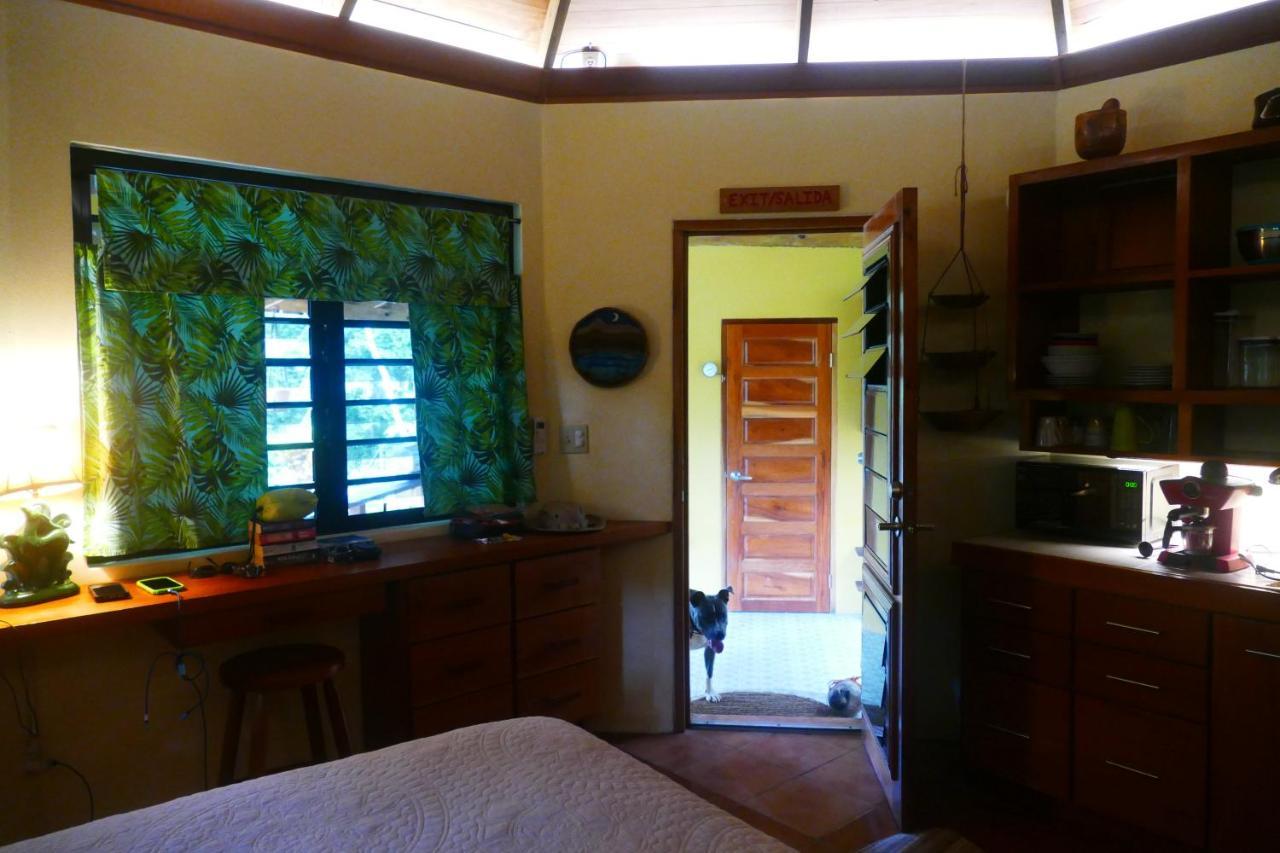 Riverhill Hideaway Monkey Fall Luaran gambar
