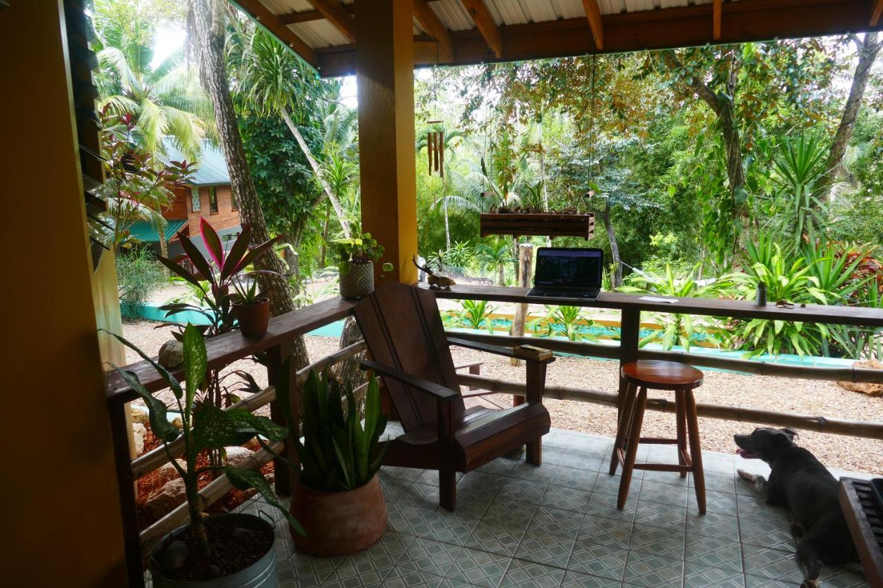 Riverhill Hideaway Monkey Fall Luaran gambar