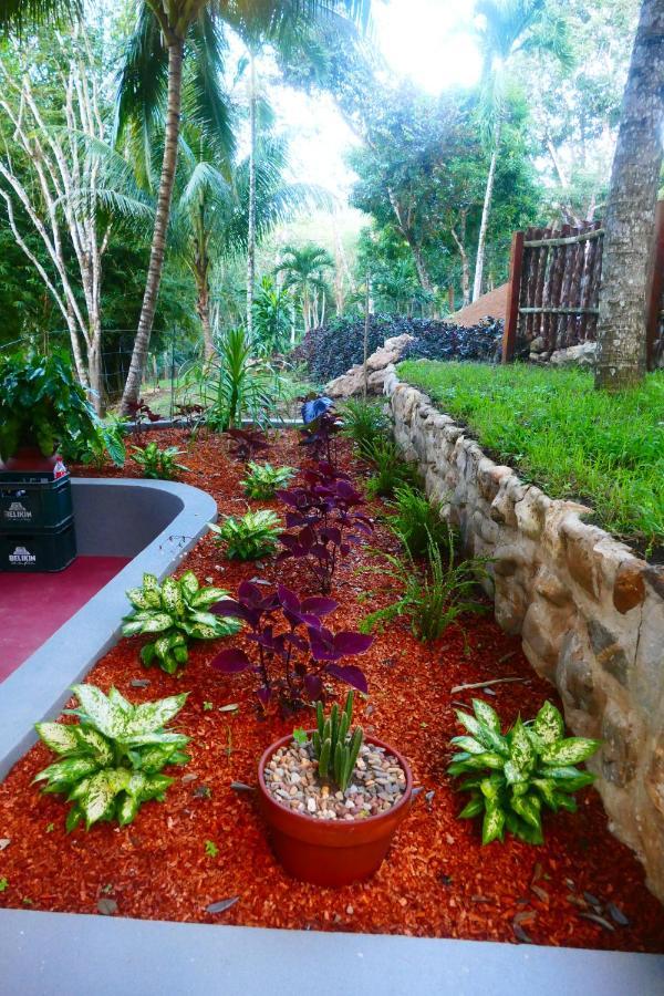 Riverhill Hideaway Monkey Fall Luaran gambar