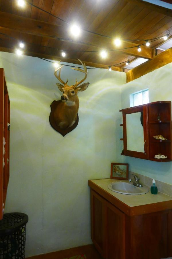 Riverhill Hideaway Monkey Fall Luaran gambar