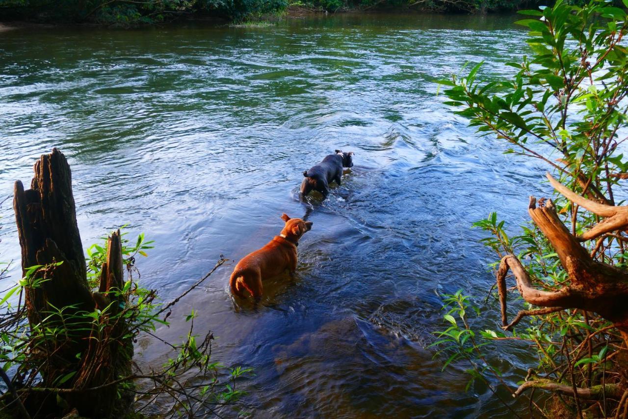 Riverhill Hideaway Monkey Fall Luaran gambar