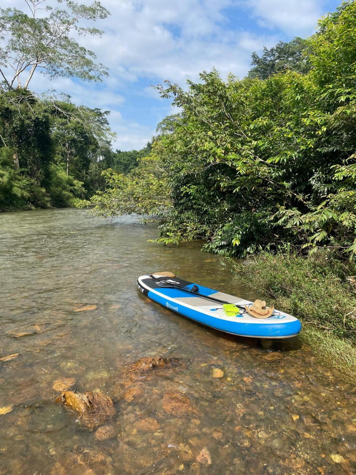 Riverhill Hideaway Monkey Fall Luaran gambar